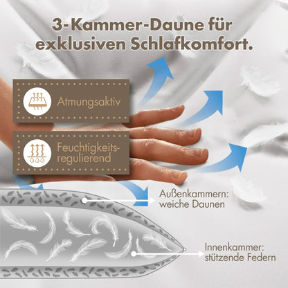 LILENO HOME 3-Kammer Kopfkissen 80x80 - Daunen & Federn, Allergiker