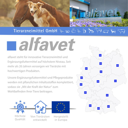Alfavet FeliGum Trojaner Medikamentenversteck für Hunde und Katzen