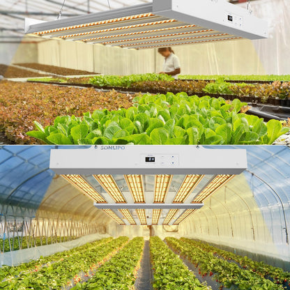 SPF2000 PRO 200W LED Pflanzenlampe - Vollspektrum Grow