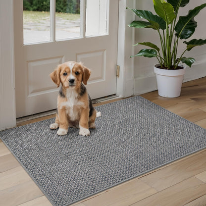DEXI Schmutzfangmatte Innen Fussmatte - 92x142 cm Grau