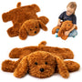 ODOXIA Gewichtskuscheltier für Kinder, 2,3 kg, 55 x 45 cm
