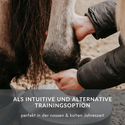 NØRSHOLM EQUESTRIAN Balance Pad Pferd Bodenarbeit 2er Set