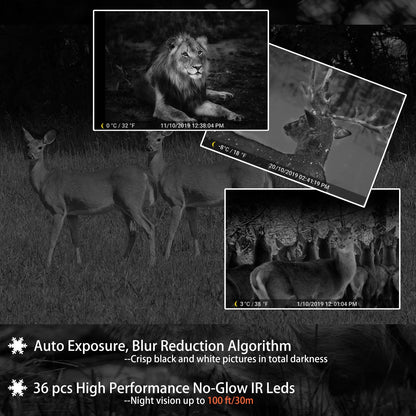 Wildkamera 64MP 1296P – Nachtsicht Outdoor Überwachung