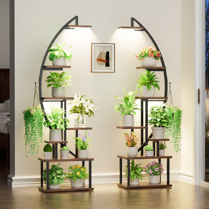 BACEKOLL Pflanzenständer mit Wachstumslicht – 7 Ebenen Schwarz 2er Set