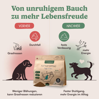 Hunderunde Gras & Kotfressen Pulver Futtertopping Magen & Darm 250 g