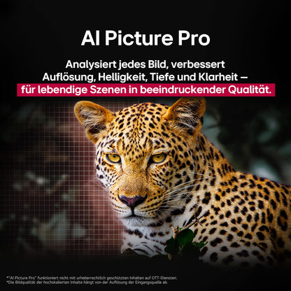 LG OLED65C5ELB 4K OLED evo AI TV 65 Zoll Modell 2025