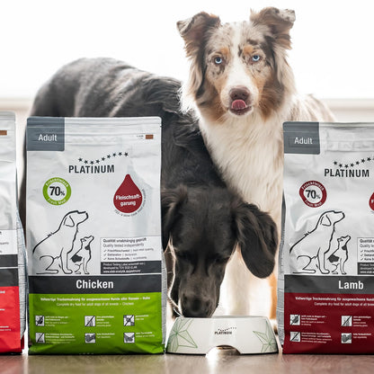 PLATINUM Adult Beef Hundefutter trocken aus Fleischsaftgarung 5 kg
