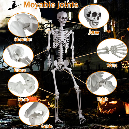 Halloween Plastikskelett Ganzkörper – Bewegliche Gelenke 240cm