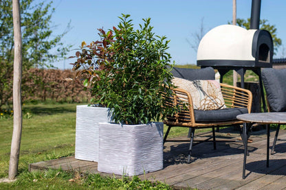 Capi Europe Rib NL Blumentopf quadratisch - 50x50 Anthrazit
