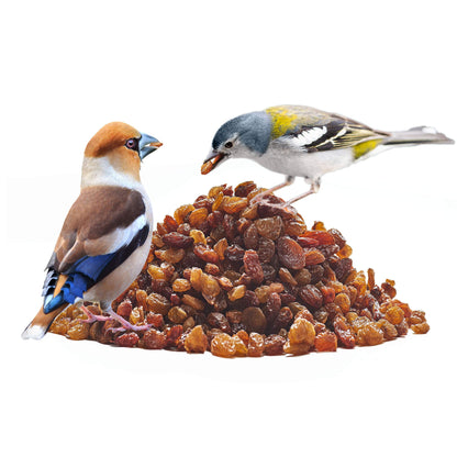 Paul's Mühle Rosinen Wildvogelfutter ungeschwefelt 12,5 kg