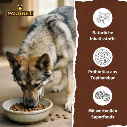 Wolfsblut Wild Duck & Turkey Adult Trockenfutter 12,5 kg