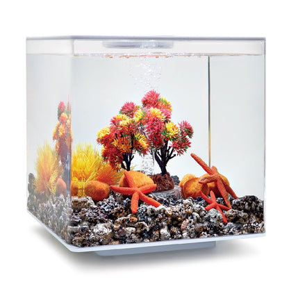 biOrb Decor Set 15L Herbst Aquarien-Deko-Set