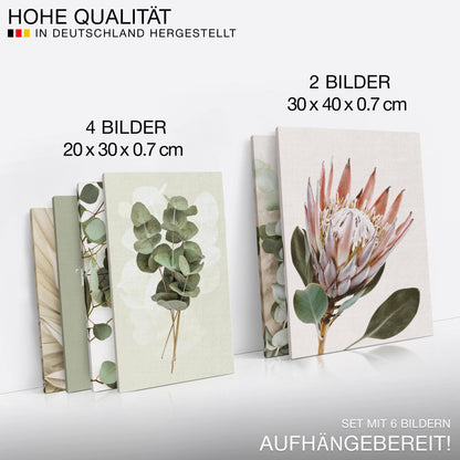 Novart Wandbilder Set Boho Blätter Grün Beige ohne Rahmen N023063a