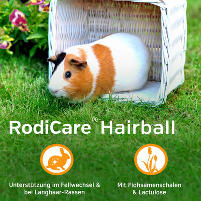 Alfavet RodiCare Hairball Ergänzungsfuttermittel, 100 ml