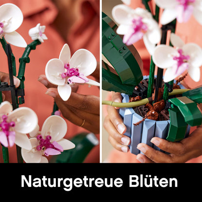 Lego Orchidee 10311 Blumen Deko Set - Inkl. Blumengarten 30659
