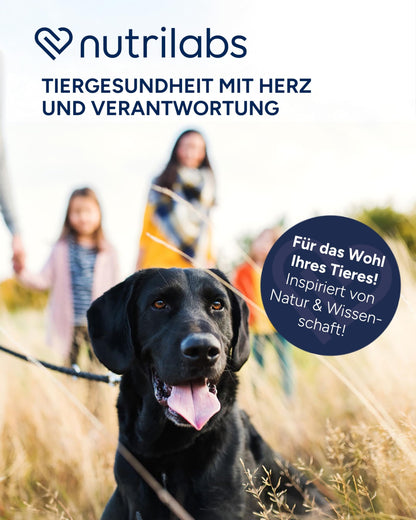 NutriLabs Placamax Tabletten für Hunde zur Verdauung, 100 Stk.