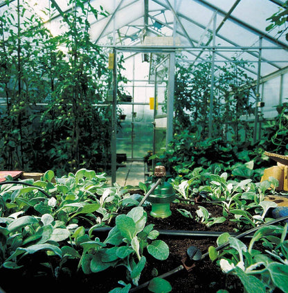 Blumat Tropf Medium Box Kit - Bewässerungssystem 12 Pflanzen