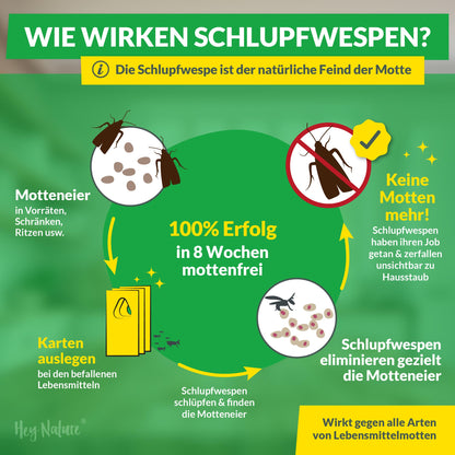 Hey Nature® Schlupfwespen gegen Lebensmittelmotten – 18 Karten