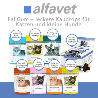 Alfavet FeliGum Trojaner Medikamentenversteck für Hunde und Katzen