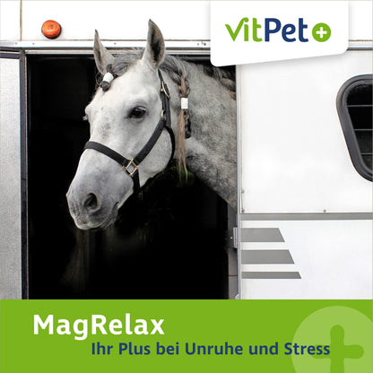 VitPet+ MagRelax Magnesium für Pferde mit Tryptophan, 2 kg