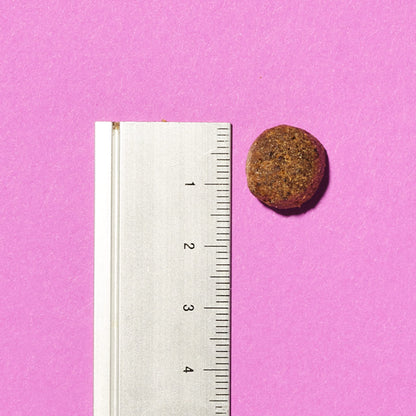 Pooch & Mutt Ruhe & Balance Hundefutter – Truthahn Süsskartoffel 10kg