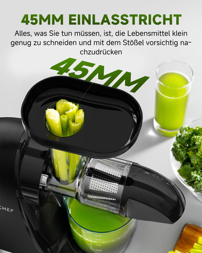 AMZCHEF Slow Juicer Saftpresse für Gemüse Obst - Mattschwarz
