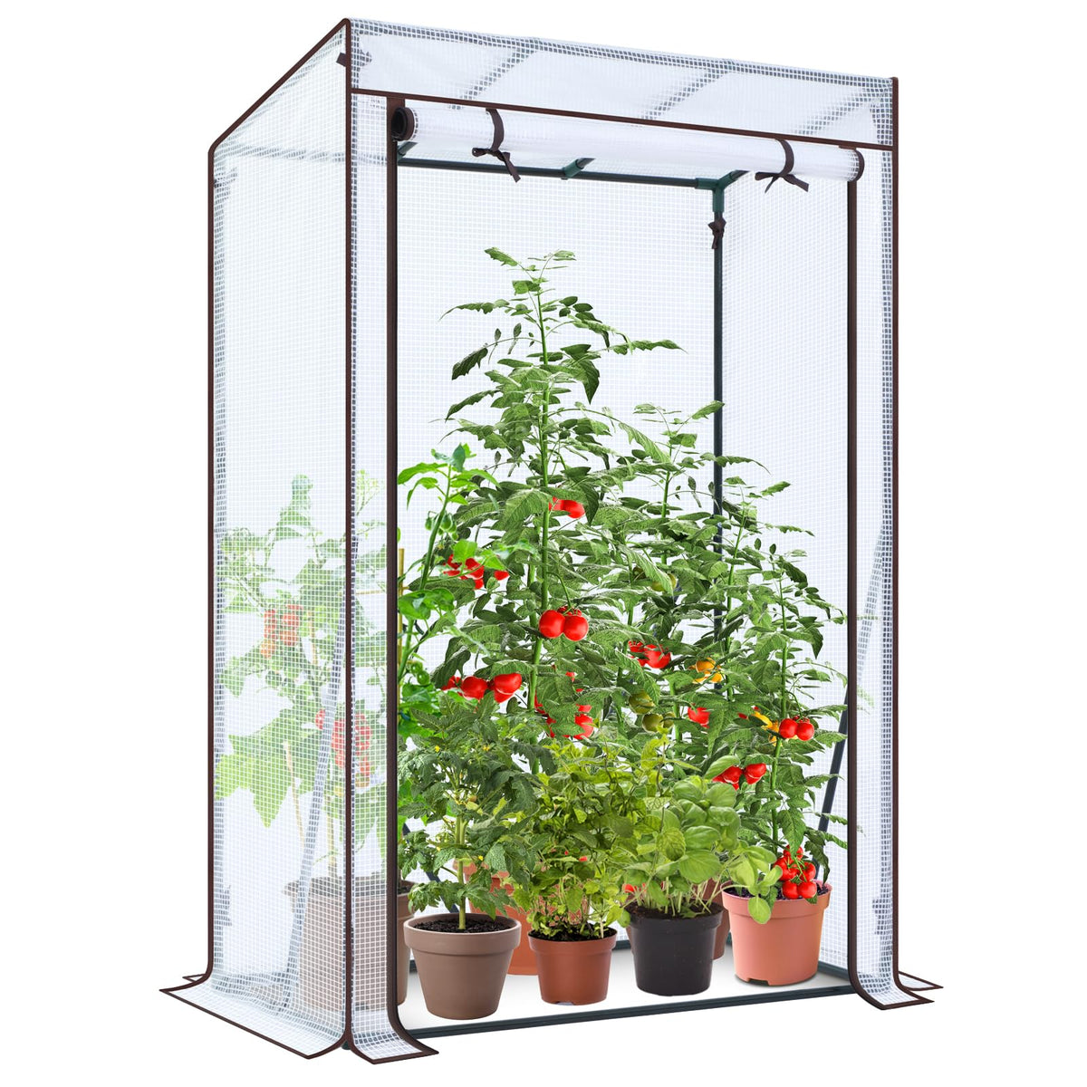 Ohuhu Foliengewächshaus Tomatengewächshaus weiss 100x50x152 cm – weisse PE-Folie mit Steckgestänge