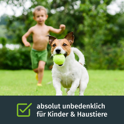 Turbogrün Schattenrasen Grassamen 150 m², RSM-Qualität