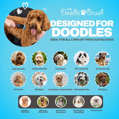 The Doodle Brush Slicker-Bürste, Hundebürste für Doodles