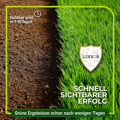 Linsor Zauberrasen Rasensamen schnellkeimend – 10kg / 500m²