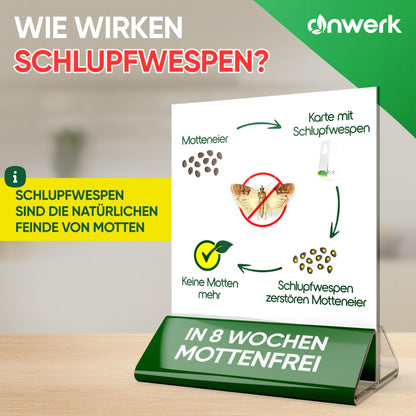anwerk Schlupfwespen gegen Lebensmittelmotten, 20 Karten, 1 Lieferung