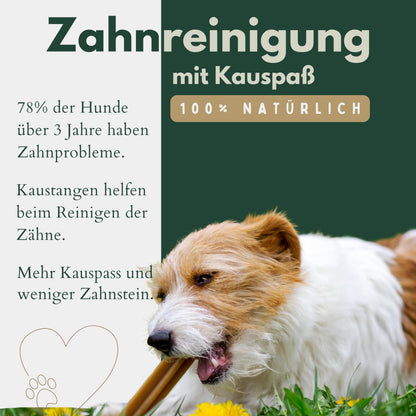 TIER HELDEN Rinderkopfhaut getrocknet für Hunde, 25 cm, 2 kg