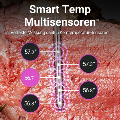 MEATER 2 Plus: Profi Smartes Fleischthermometer – kabellos