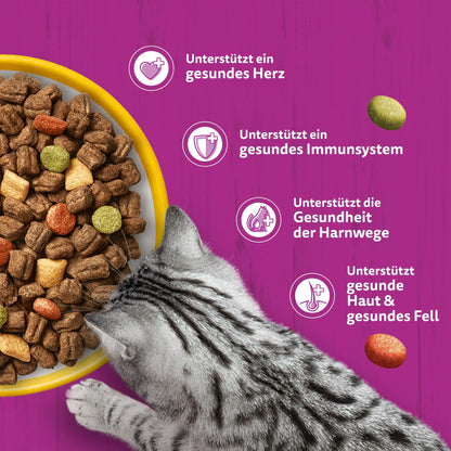 WHISKAS Senior Katzentrockenfutter mit Huhn, 4 x 1,9 kg