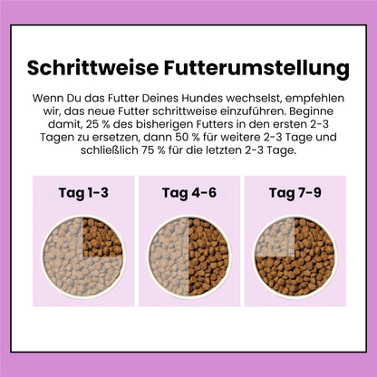 Pooch & Mutt Ruhe & Balance Hundefutter – Truthahn Süsskartoffel 10kg