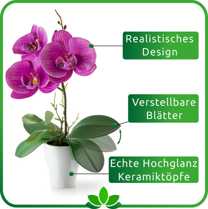 PASCH Kunstblumen im Topf, 3er Set künstliche Orchideen, Weiss-Rosé