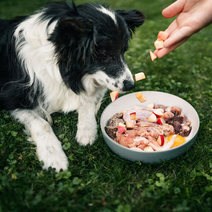 Frostfutter Perleberg Barf Highlight-Paket Hundefutter - 12kg Rind/Huhn