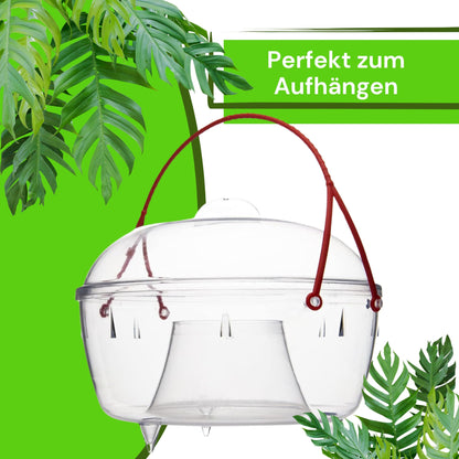 Aroba Profi Wespenfalle Insektenschutz - 5er Set 18cm