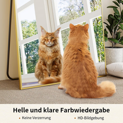 BEAUTYPEAK 171x76cm Ganzkörperspiegel Stand- & Wandspiegel Gold