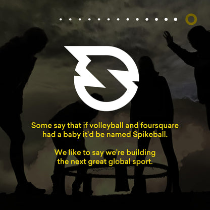 Spikeball Pro Set – Sportspiel mit Netz, 2 Bällen und Tragetasche