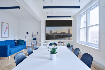 celexon Professional Motor-Leinwand 95" Beamer-Leinwand