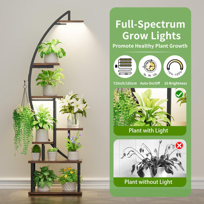 BACEKOLL Pflanzenständer mit Wachstumslicht – 7 Ebenen Schwarz 2er Set