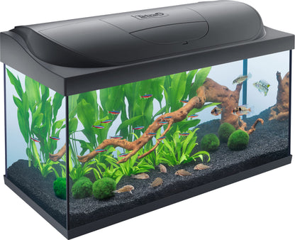 Tetra Starter Line 105 L Aquarium Komplett-Set Tag/Nacht LED