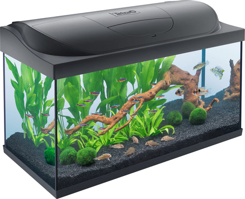 Tetra Starter Line 105 L Aquarium Komplett-Set Tag/Nacht LED