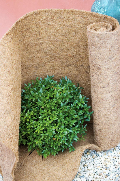 MW.Shop.24 Kokosmatte Biologischer Winterschutz – 50cm x 20m