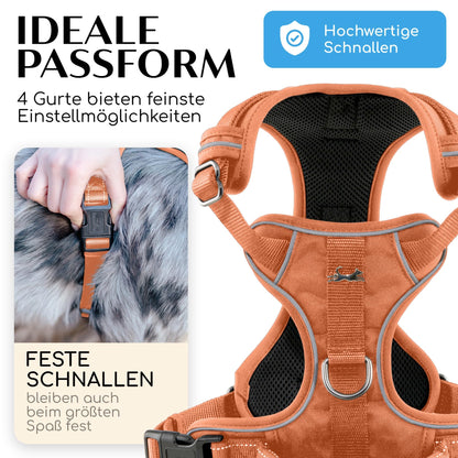 FREUDENTIER Clyde Hundegeschirr mit Mesh-Polsterung, Orange, M