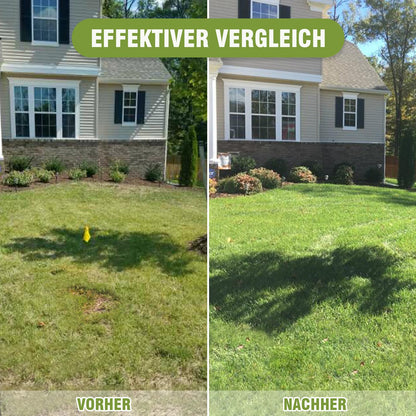 Plutohiker Rasen Nivellierrechen Edelstahl - 72x25 cm Stiel 2.15m