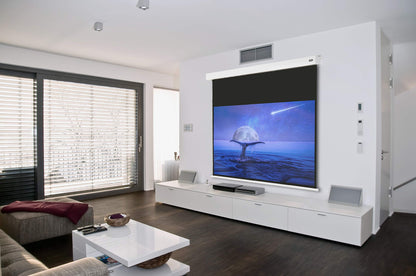 celexon Professional Motor-Leinwand 105" 4:3 220x165 cm