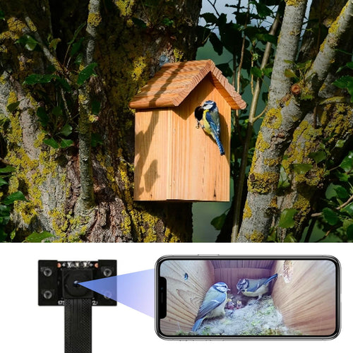 WIWACAM MW5 4K Mini Kamera WLAN für Nistkästen mit Nachtsicht und Akku, kompakte Bauweise für den Nistkasteneinbau