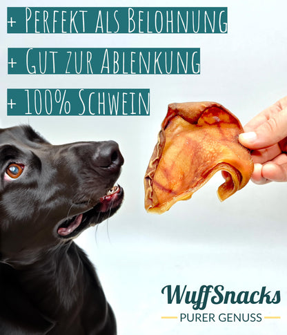 WuffSnacks Getrocknete Schweineohren für Hunde – 50 Stk.